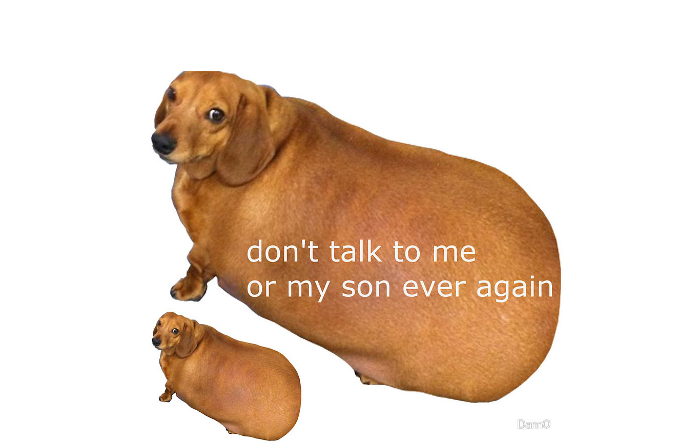 High Quality Don't talk to me or my son ever again Blank Meme Template