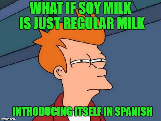 soy-in spanish means I Am |  WHAT IF SOY MILK IS JUST REGULAR MILK; INTRODUCING ITSELF IN SPANISH | image tagged in memes,futurama fry,soy milk | made w/ Imgflip meme maker