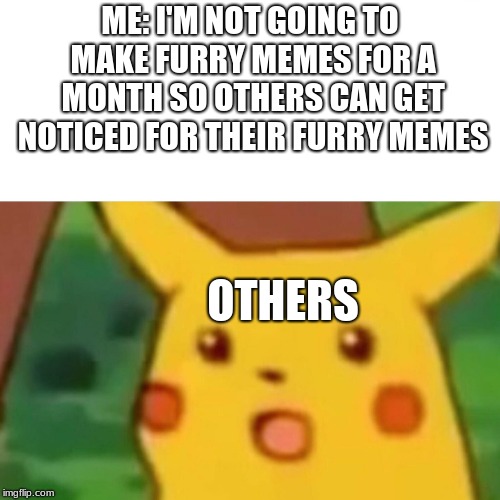 This is real i'm not posting furry memes for a month. Others should get recognized for their work too. | ME: I'M NOT GOING TO MAKE FURRY MEMES FOR A MONTH SO OTHERS CAN GET NOTICED FOR THEIR FURRY MEMES; OTHERS | image tagged in memes,surprised pikachu,furry,furries | made w/ Imgflip meme maker