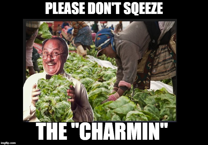 E-COLI  OUTBREAK | PLEASE DON'T SQEEZE; THE "CHARMIN" | image tagged in poop | made w/ Imgflip meme maker