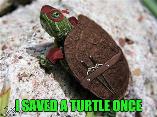 I SAVED A TURTLE ONCE | made w/ Imgflip meme maker