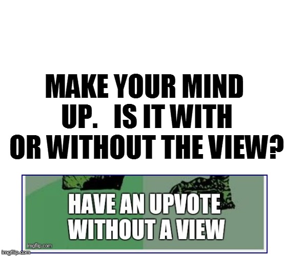 MAKE YOUR MIND UP.   IS IT WITH OR WITHOUT THE VIEW? | made w/ Imgflip meme maker