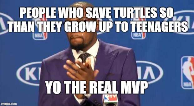 You The Real MVP Meme | PEOPLE WHO SAVE TURTLES SO THAN THEY GROW UP TO TEENAGERS YO THE REAL MVP | image tagged in memes,you the real mvp | made w/ Imgflip meme maker