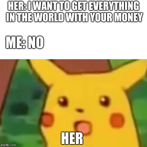 Surprised Pikachu | HER: I WANT TO GET EVERYTHING IN THE WORLD WITH YOUR MONEY; ME: NO; HER | image tagged in memes,surprised pikachu | made w/ Imgflip meme maker