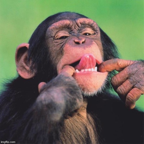monkey tongue | . | image tagged in monkey tongue | made w/ Imgflip meme maker