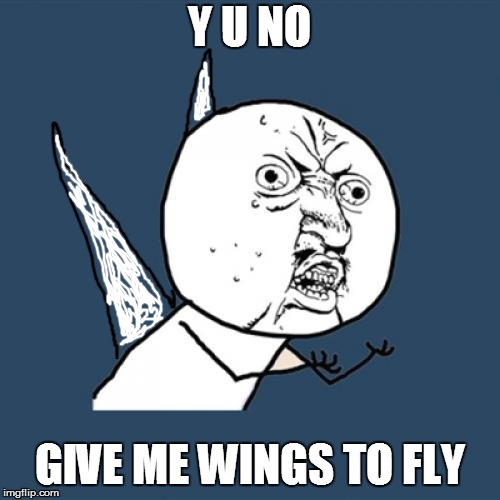 Y U No Meme | Y U NO GIVE ME WINGS TO FLY | image tagged in memes,y u no | made w/ Imgflip meme maker