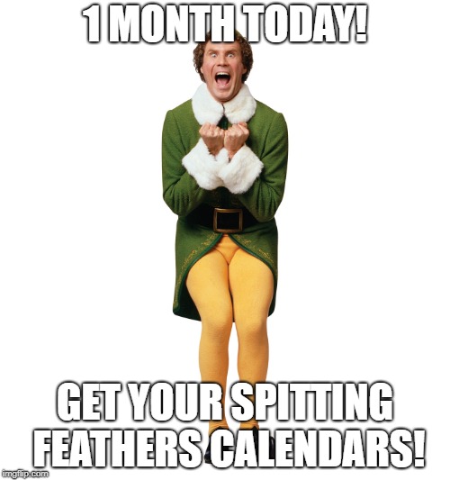 Christmas Elf | 1 MONTH TODAY! GET YOUR SPITTING FEATHERS CALENDARS! | image tagged in christmas elf | made w/ Imgflip meme maker
