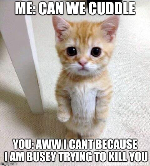 Cute Cat Meme | ME: CAN WE CUDDLE; YOU: AWW I CANT BECAUSE I AM BUSEY TRYING TO KILL YOU | image tagged in memes,cute cat | made w/ Imgflip meme maker