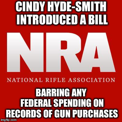 Nra | CINDY HYDE-SMITH INTRODUCED A BILL; BARRING ANY FEDERAL SPENDING ON RECORDS OF GUN PURCHASES | image tagged in nra | made w/ Imgflip meme maker