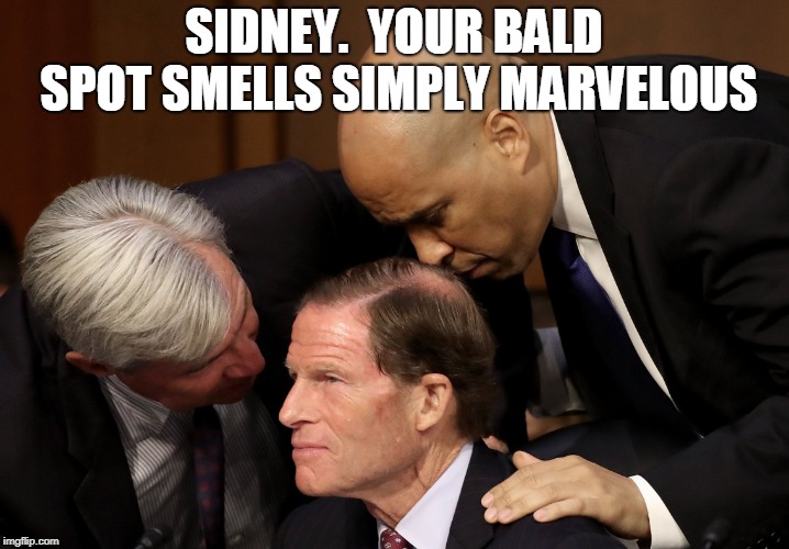 SIDNEY.  YOUR BALD SPOT SMELLS SIMPLY MARVELOUS | image tagged in whitehouse_booker_blumenthal_simply_marvelous | made w/ Imgflip meme maker