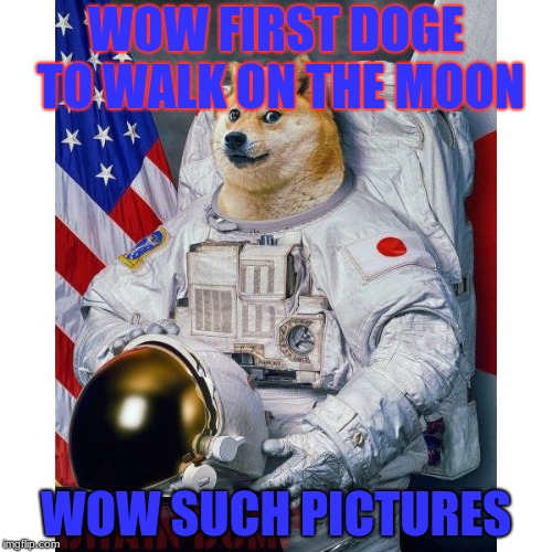 Doge Astronaut | WOW
FIRST DOGE TO WALK ON THE MOON; WOW SUCH PICTURES | image tagged in doge astronaut | made w/ Imgflip meme maker