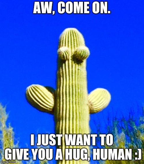 Huggy Cactus  | AW, COME ON. I JUST WANT TO GIVE YOU A HUG, HUMAN :) | image tagged in huggy cactus | made w/ Imgflip meme maker