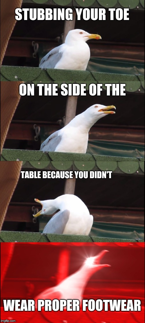 Inhaling Seagull | STUBBING YOUR TOE; ON THE SIDE OF THE; TABLE BECAUSE YOU DIDN'T; WEAR PROPER FOOTWEAR | image tagged in memes,inhaling seagull | made w/ Imgflip meme maker