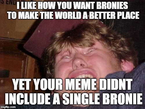 WTF Meme | I LIKE HOW YOU WANT BRONIES TO MAKE THE WORLD A BETTER PLACE YET YOUR MEME DIDNT INCLUDE A SINGLE BRONIE | image tagged in memes,wtf | made w/ Imgflip meme maker
