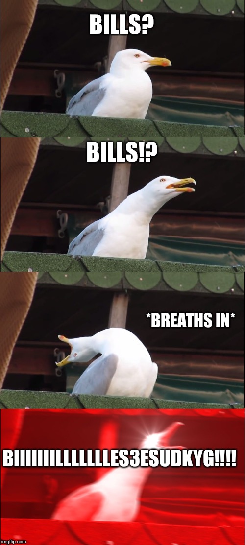 Inhaling Seagull Meme | BILLS? BILLS!? *BREATHS IN*; BIIIIIIILLLLLLLES3ESUDKYG!!!! | image tagged in memes,inhaling seagull | made w/ Imgflip meme maker