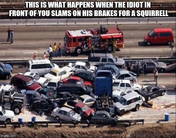 Car accident | THIS IS WHAT HAPPENS WHEN THE IDIOT IN FRONT OF YOU SLAMS ON HIS BRAKES FOR A SQUIRRELL | image tagged in car accident | made w/ Imgflip meme maker