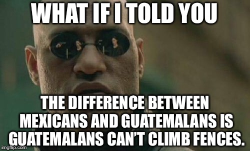 There is a difference between Mexicans and Guatemalans | WHAT IF I TOLD YOU; THE DIFFERENCE BETWEEN MEXICANS AND GUATEMALANS IS GUATEMALANS CAN’T CLIMB FENCES. | image tagged in memes,matrix morpheus,border wall,fence,guatemala,mexican | made w/ Imgflip meme maker