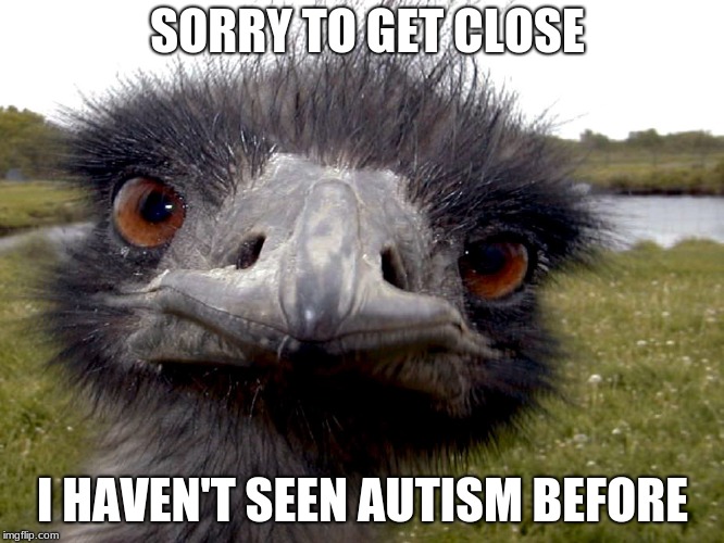 Emu face |  SORRY TO GET CLOSE; I HAVEN'T SEEN AUTISM BEFORE | image tagged in emu face | made w/ Imgflip meme maker