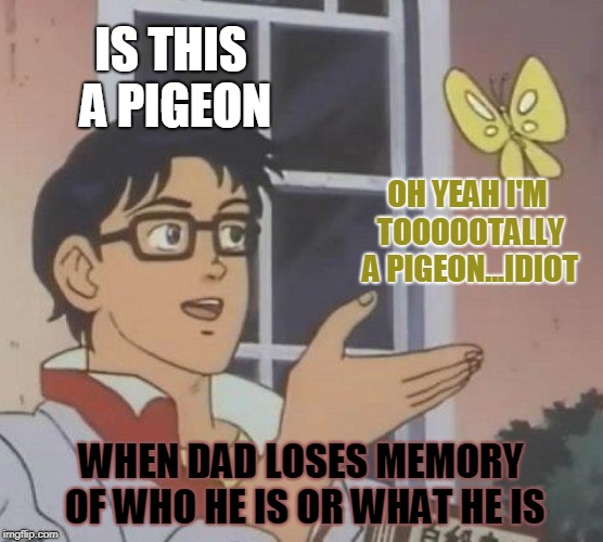 Is This A Pigeon | IS THIS A PIGEON; OH YEAH I'M TOOOOOTALLY A PIGEON...IDIOT; WHEN DAD LOSES MEMORY OF WHO HE IS OR WHAT HE IS | image tagged in memes,is this a pigeon | made w/ Imgflip meme maker