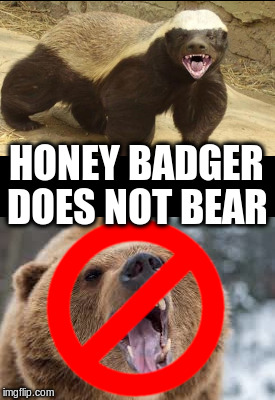 Badger don't bear | HONEY BADGER; DOES NOT BEAR | image tagged in bitcoin,badger,bear | made w/ Imgflip meme maker