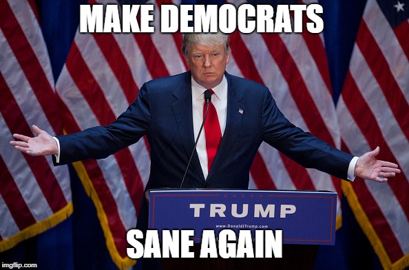 Donald Trump | MAKE DEMOCRATS; SANE AGAIN | image tagged in donald trump | made w/ Imgflip meme maker