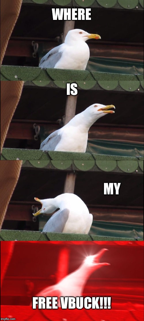 Inhaling Seagull Meme | WHERE; IS; MY; FREE VBUCK!!! | image tagged in memes,inhaling seagull | made w/ Imgflip meme maker