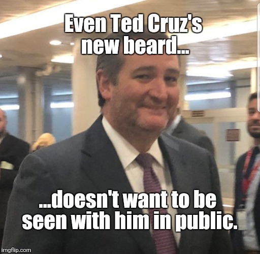 Cruz lame Beard | Even Ted Cruz's new beard... ...doesn't want to be seen with him in public. | image tagged in political meme,political,politics lol,political humor | made w/ Imgflip meme maker