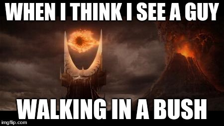 Eye Of Sauron Meme | WHEN I THINK I SEE A GUY; WALKING IN A BUSH | image tagged in memes,eye of sauron | made w/ Imgflip meme maker