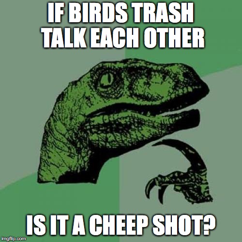 Philosoraptor Meme | IF BIRDS TRASH TALK EACH OTHER; IS IT A CHEEP SHOT? | image tagged in memes,philosoraptor | made w/ Imgflip meme maker