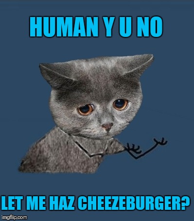 Y U NOvember | HUMAN Y U NO; LET ME HAZ CHEEZEBURGER? | image tagged in memes,funny,i can has cheezburger cat,y u november,y u no,44colt | made w/ Imgflip meme maker