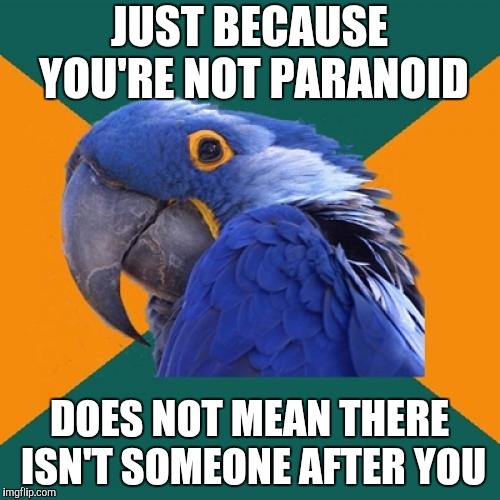 Paranoid Parrot Meme | JUST BECAUSE YOU'RE NOT PARANOID DOES NOT MEAN THERE ISN'T SOMEONE AFTER YOU | image tagged in memes,paranoid parrot | made w/ Imgflip meme maker