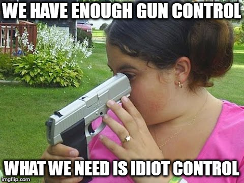 And guns could do that job nicely | WE HAVE ENOUGH GUN CONTROL; WHAT WE NEED IS IDIOT CONTROL | image tagged in memes,gun control,idiots | made w/ Imgflip meme maker