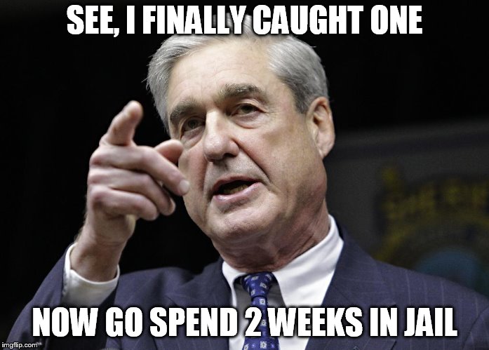 Robert S. Mueller III wants you | SEE, I FINALLY CAUGHT ONE; NOW GO SPEND 2 WEEKS IN JAIL | image tagged in robert s mueller iii wants you | made w/ Imgflip meme maker