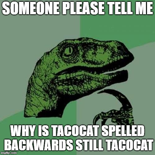 Philosoraptor Meme | SOMEONE PLEASE TELL ME; WHY IS TACOCAT SPELLED BACKWARDS STILL TACOCAT | image tagged in memes,philosoraptor | made w/ Imgflip meme maker