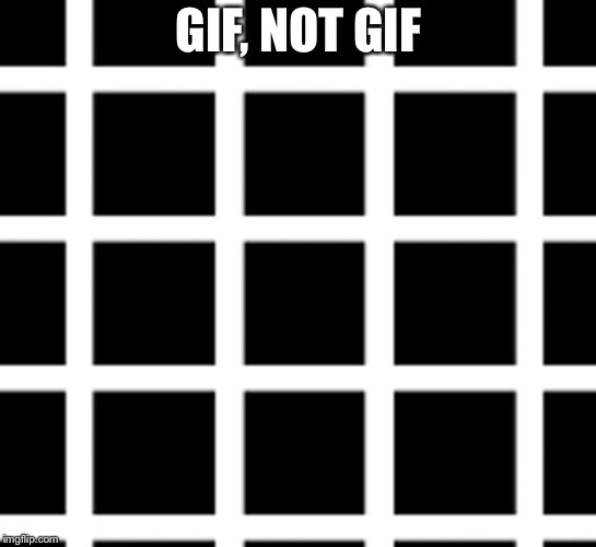GIF, NOT GIF | image tagged in gif not gif | made w/ Imgflip meme maker