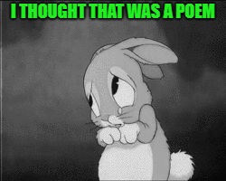 I THOUGHT THAT WAS A POEM | made w/ Imgflip meme maker