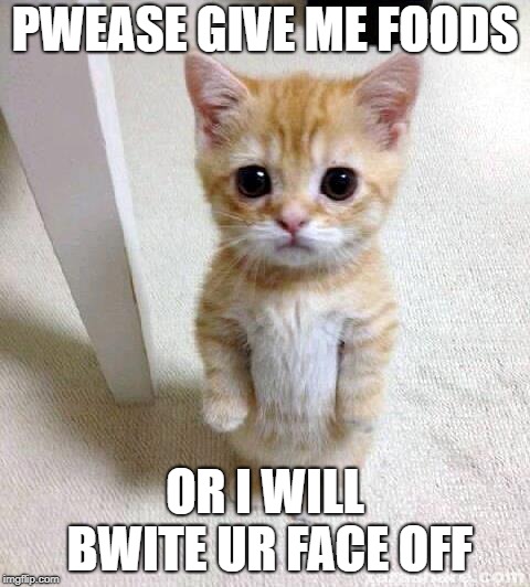 Cute Cat Meme | PWEASE GIVE ME FOODS; OR I WILL BWITE UR FACE OFF | image tagged in memes,cute cat | made w/ Imgflip meme maker