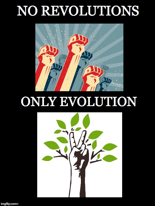 Only.... | NO REVOLUTIONS; ONLY EVOLUTION | image tagged in revolution,evolution,direct democracy,nonviolence,systems change,peacefully | made w/ Imgflip meme maker