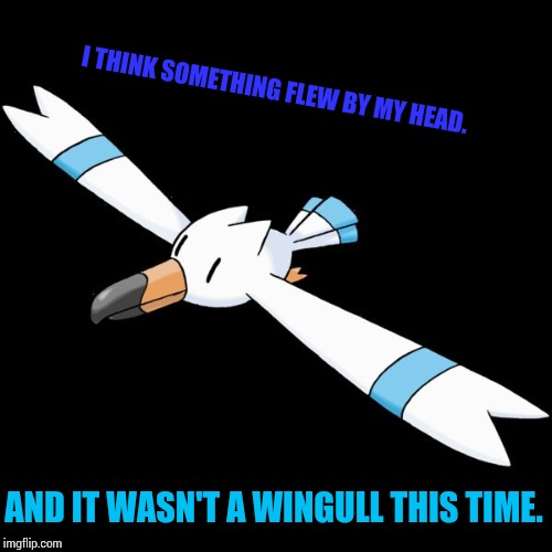 I THINK SOMETHING FLEW BY MY HEAD. AND IT WASN'T A WINGULL THIS TIME. | image tagged in hydro the wingull | made w/ Imgflip meme maker