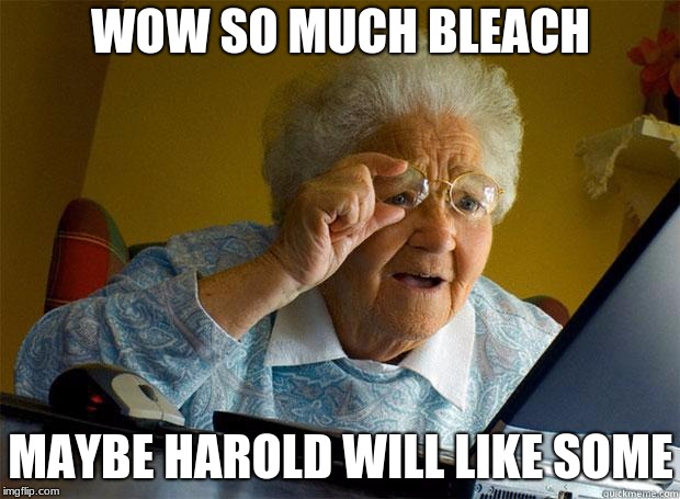 Granny Internet | WOW SO MUCH BLEACH MAYBE HAROLD WILL LIKE SOME | image tagged in granny internet | made w/ Imgflip meme maker