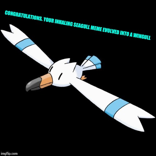 CONGRATULATIONS. YOUR INHALING SEAGULL MEME EVOLVED INTO A WINGULL | image tagged in hydro the wingull | made w/ Imgflip meme maker