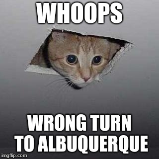 Ceiling Cat Meme | WHOOPS; WRONG TURN TO ALBUQUERQUE | image tagged in memes,ceiling cat | made w/ Imgflip meme maker