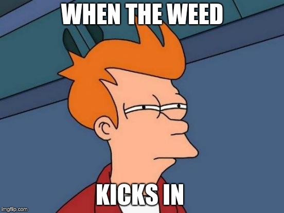 Futurama Fry | WHEN THE WEED; KICKS IN | image tagged in memes,futurama fry | made w/ Imgflip meme maker