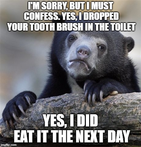 Confession Bear Meme | I'M SORRY, BUT I MUST CONFESS. YES, I DROPPED YOUR TOOTH BRUSH IN THE TOILET; YES, I DID EAT IT THE NEXT DAY | image tagged in memes,confession bear | made w/ Imgflip meme maker