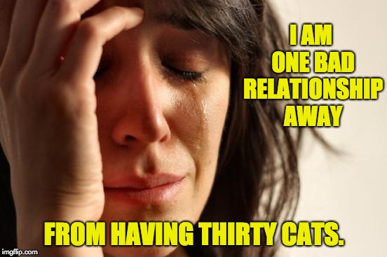 First World Problems | I AM ONE BAD RELATIONSHIP AWAY; FROM HAVING THIRTY CATS. | image tagged in memes,first world problems | made w/ Imgflip meme maker