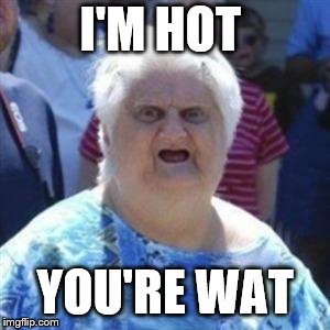 WAT Lady |  I'M HOT; YOU'RE WAT | image tagged in wat lady | made w/ Imgflip meme maker