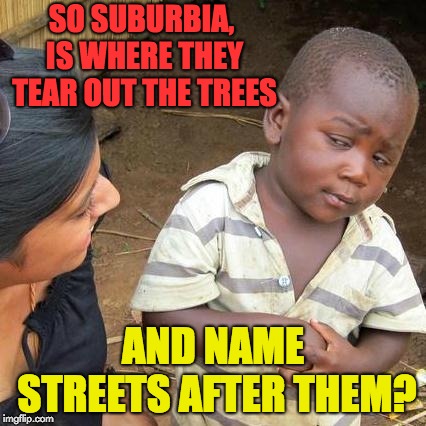 Third World Skeptical Kid | SO SUBURBIA, IS WHERE THEY TEAR OUT THE TREES; AND NAME STREETS AFTER THEM? | image tagged in memes,third world skeptical kid | made w/ Imgflip meme maker