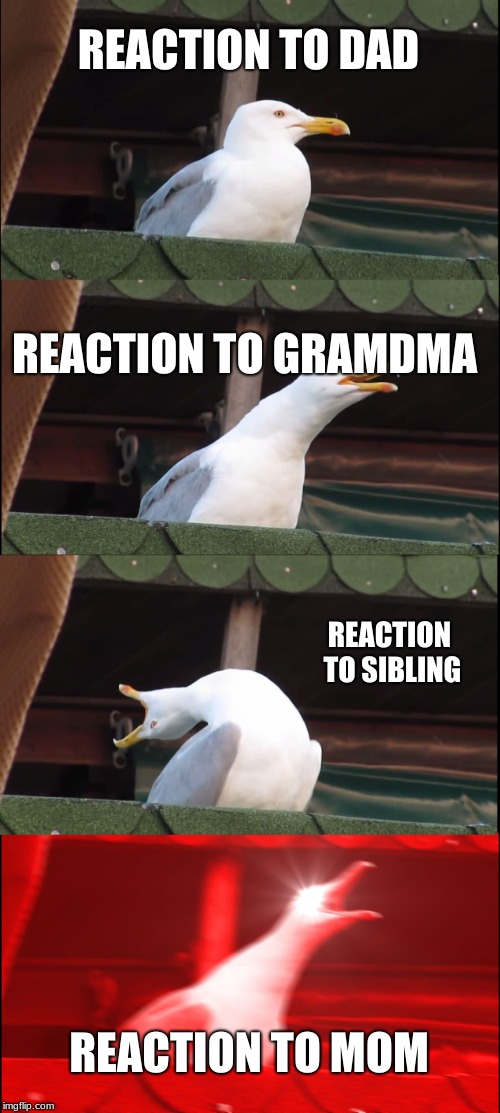 what my house is like | REACTION TO DAD; REACTION TO GRAMDMA; REACTION TO SIBLING; REACTION TO MOM | image tagged in memes,inhaling seagull | made w/ Imgflip meme maker