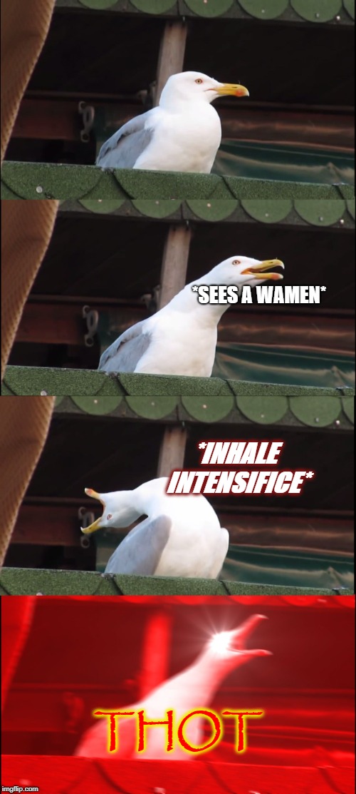 Inhaling Seagull | *SEES A WAMEN*; *INHALE INTENSIFICE*; THOT | image tagged in memes,inhaling seagull | made w/ Imgflip meme maker
