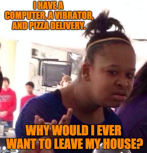 Black Girl Wat Meme | I HAVE A COMPUTER, A VIBRATOR, AND PIZZA DELIVERY. WHY WOULD I EVER WANT TO LEAVE MY HOUSE? | image tagged in memes,black girl wat | made w/ Imgflip meme maker